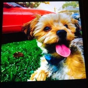 Meet your Posher, Roberto